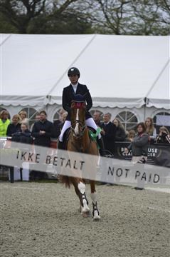 139644_abo_07__AB15592.JPG