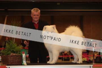 124188 _tl_02_IMG_9238.JPG