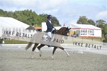 169624_kbb_01__KBB8645.JPG