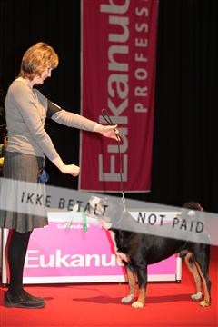 126827_tl_02_IMG_3099.JPG