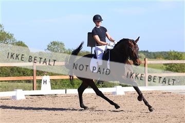 181449_bc_01R62_6311.JPG