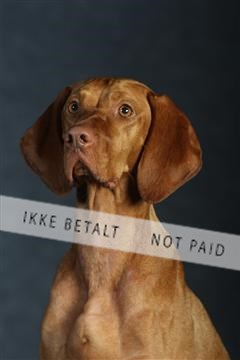 132082_le_ 01_IMG_0709.JPG