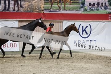 181957_mtp_08_R62_5696.JPG