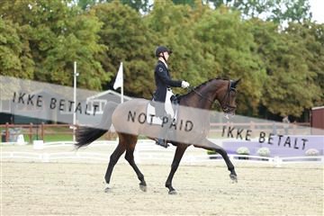 181923_mtp_04_R62_8644.JPG