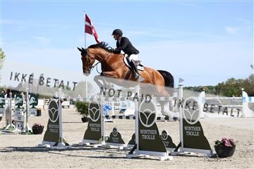 181436_avh_02_3632.JPG