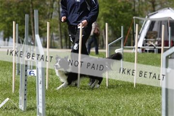 134871_ms_04_IMG_0111.JPG
