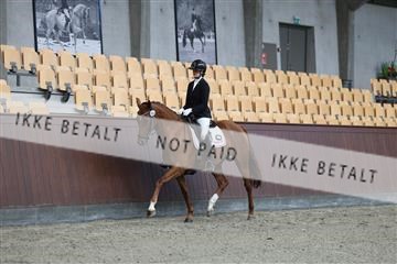 181852_mtp_01_R62_1124.JPG