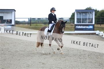 181894_mtp_05_R62_4247.JPG