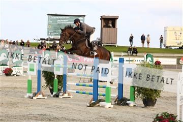 181922_avh_05_2590.JPG
