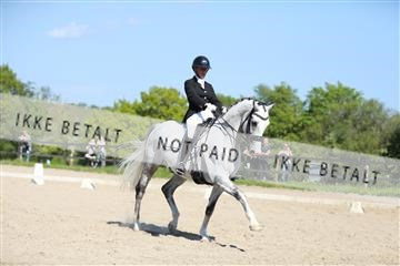 168732_mtp_01_3M5A8257.JPG