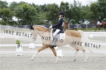 166078_rhj_01__J7R3184.JPG