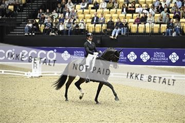 182194_kbb_02_Z099223.JPG