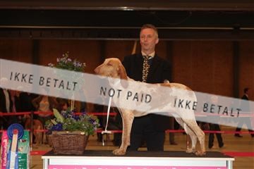 124188 _tl_02_IMG_9662.JPG