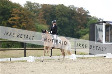 181894_mtp_04_R62_3727.JPG