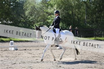 168732_mtp_01_3M5A6044.JPG