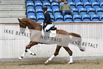 182241_kbb_01_Z094941.JPG
