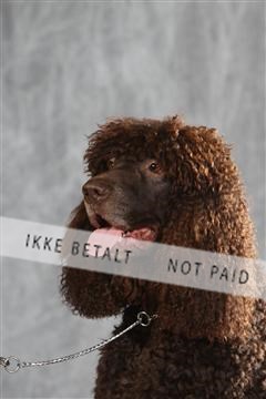 130054_le_ 01_0343.JPG