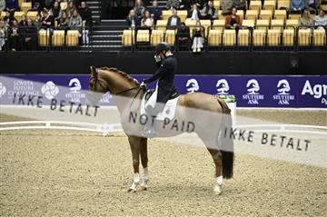 182194_kbb_02_Z098698.JPG