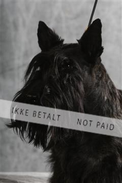 129608_le_ 02_0111.JPG