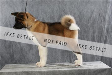 128239_le_ 06_0040.JPG