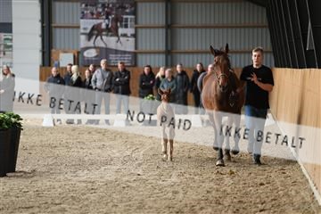 174362_kbb_01_R6II7717.JPG