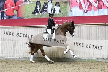 182241_kbb_01_Z094287.JPG