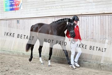 181887_tbj_01_R62_3120.JPG