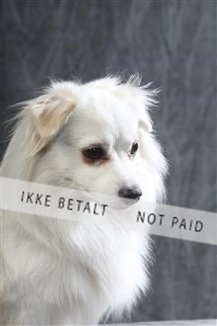 129608_le_ 01_0329.JPG