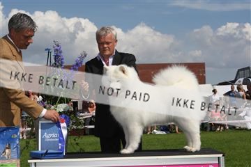 130370_se_03_IMG_7663.JPG