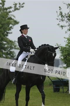 139835_sg_02_IMG_8887.JPG