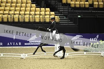 182194_kbb_01_Z095862.JPG