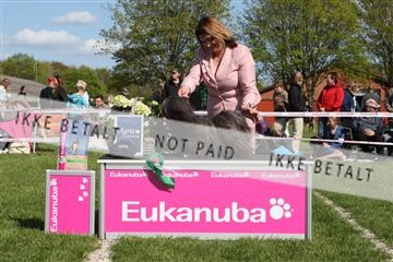 134871_ms_02_IMG_3872.JPG