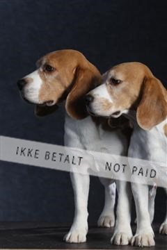 132082_le_ 01_IMG_1554.JPG