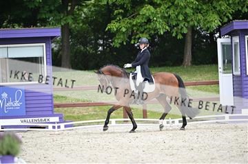 176255_mtp_01_Z09_0220.JPG