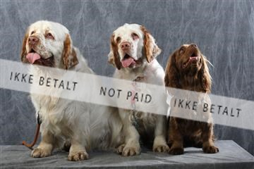 129608_le_ 01_0722.JPG