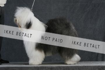 5493_sme _02__MG_9703.JPG