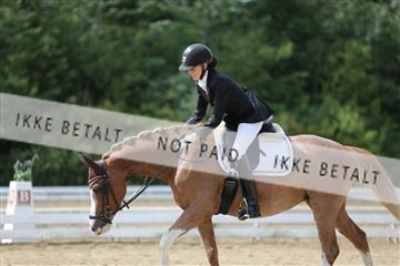 156196_nn_01_IMG_6264.JPG