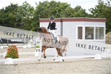 166078_kuo_02_D05_8635.JPG