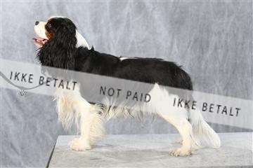 128239_le_kort_ 01_0343.JPG