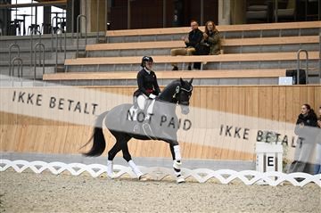 182176_kbb_01_Z094711.JPG