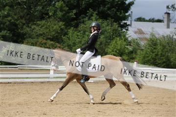 156196_nn_01_IMG_6137.JPG