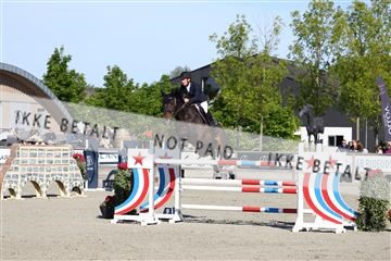181436_avh_01_3351.JPG