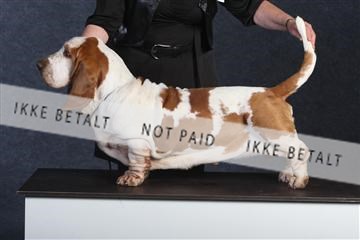 132082_le_ 01_IMG_0712.JPG