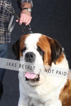 132082_le_ 01_IMG_0088.JPG