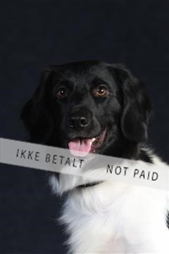 132082_le_ 01_IMG_0551.JPG