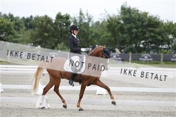166078_rhj_01__J7R4590.JPG