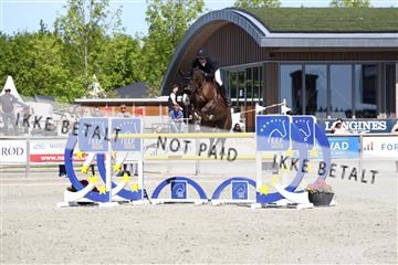 181436_avh_02_3900.JPG