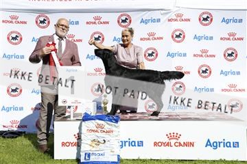 181564_ch_01__62_9682.JPG