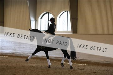 139266_kl_1_8M1Q7388.JPG