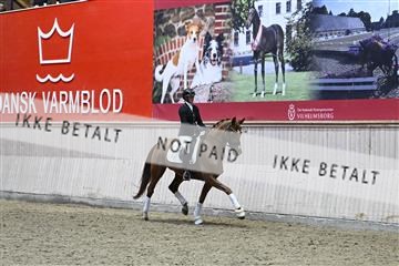 182241_kbb_01_Z093760.JPG